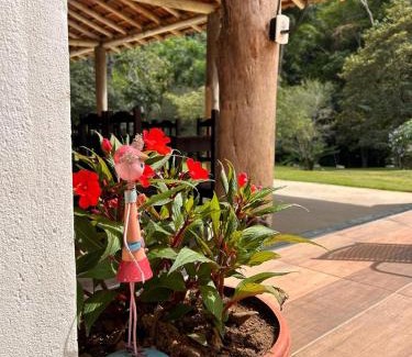 Perobas Casa | Sítio Cantinho da Roça Perobas