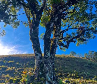 Cunha Casa | Sítio das montanhas