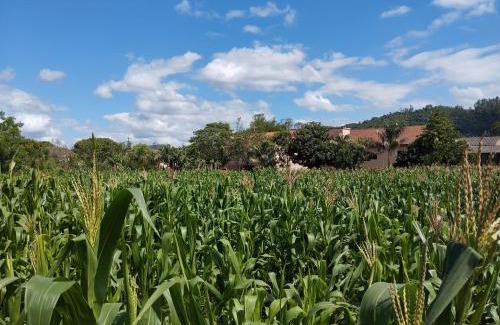 Rolante Casa | Sítio do ipê