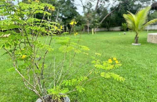 Guapimirim Casa | Sítio Em Guapimirim