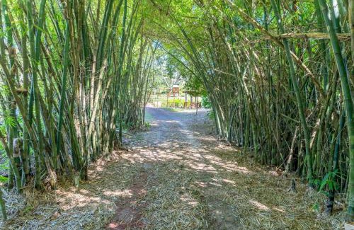 Cha Grande Chalet De Esquí | Sítio Lumiar Chã Grande Paraíso Ecológico