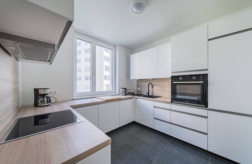 Gmunden Apartamento | S.a.f.r.a.n | trendy 2 BR AP with balcony