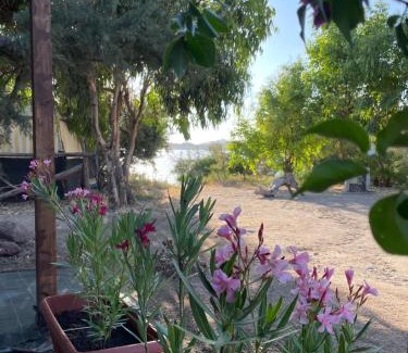 Bosa Casa | S'Abba Druche rooms