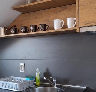 Jagodina Apartamento | S-Apartmani Cocetova