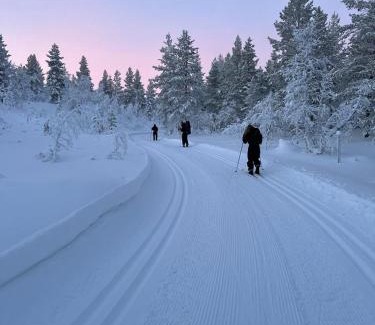 Saariselka Chalet De Esquí | Saariselällä, sielukas hirsimökki - Unique cottage