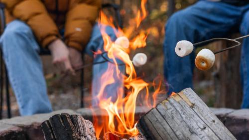 Coram Casa | Saddle N' Sage, 7 Min To Glacier, Fire Pit