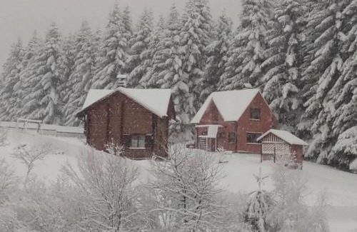 Skhidnytsya Casa | Sadyba Drymba