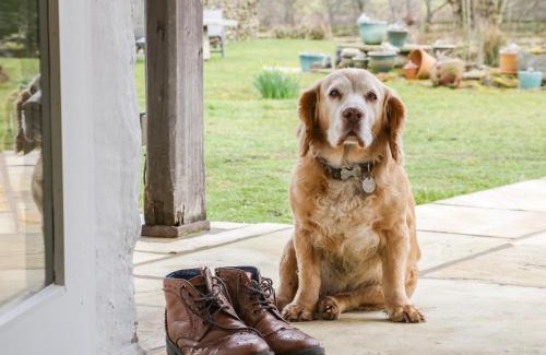 Harrop Fold Casa | Saetr Cottage