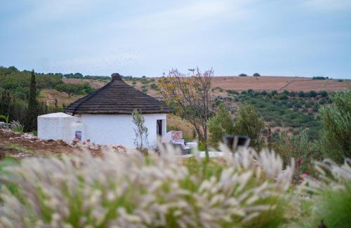 Boulaouane Casa | Safa Boulaouane