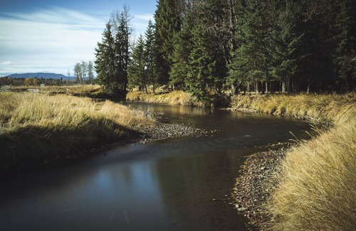 Caroline Casa | Safari Dome in the beautiful Boundary RV Park