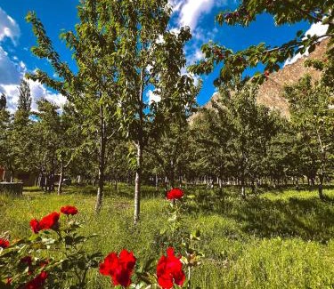 Skardu Complejo | Safari Resort Skardu
