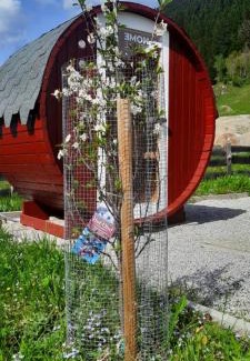 Kleinarl Casa | Saghäusl