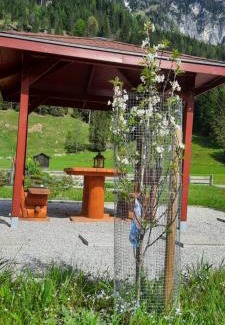Kleinarl Casa | Saghäusl