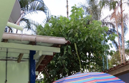 Barra do Sahy Casa | BAR SAHY A SOLO 40 METROS DE LA PLAYA / aire acondicionado