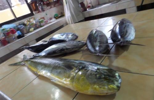 San Isidro Casa | Sailfishbay Surf And Big Game Fishing Lodge