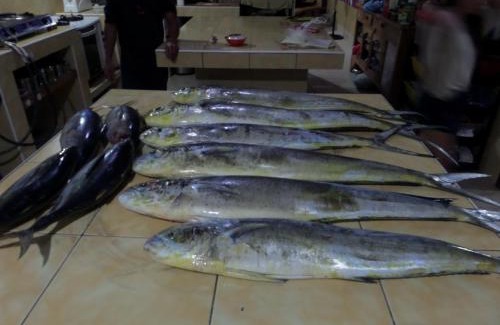 San Isidro Casa | Sailfishbay Surf And Big Game Fishing Lodge