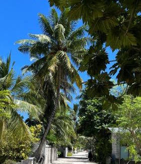 Himandhoo Casa | Saima Lodge