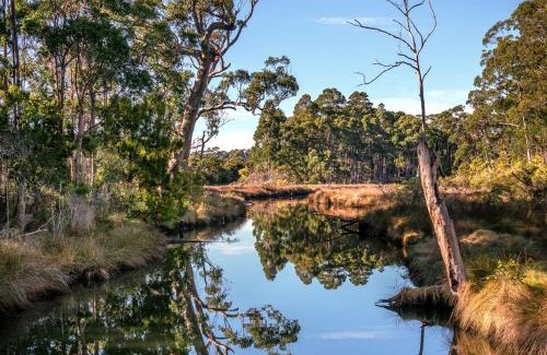 South Bruny Casa | Saintys Creek Cottage