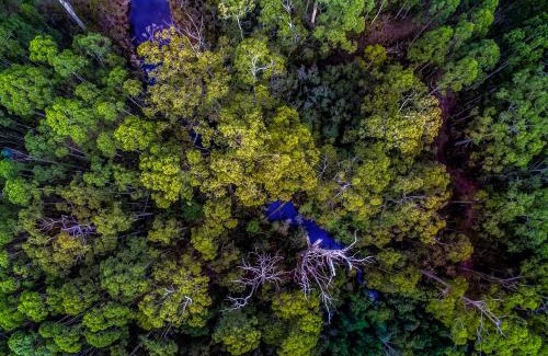 South Bruny Casa | Saintys Creek Cottage