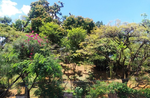 Barra Apartamento | Saison du Carnaval 7 Jours à Salvador