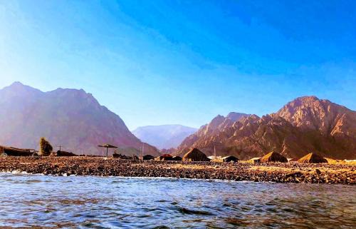 Taba Heights Otro | SakraTah Camp - eco friendly