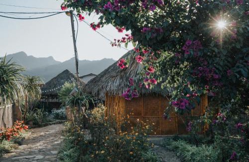 Moc Chau Casa | SAKURA House - Vườn Đào