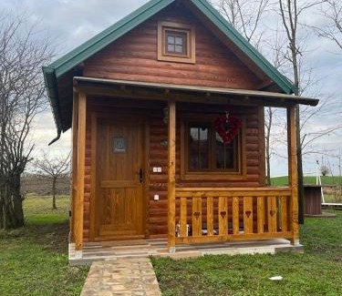 South Backa District Casa | Salaš Gnijezdo