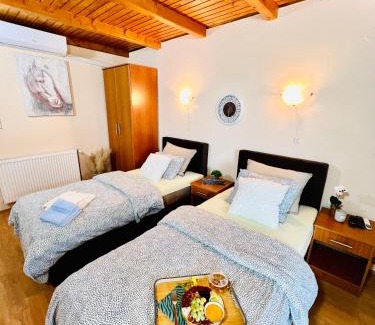 Bodani Apartamento | Salaš kod Bobana