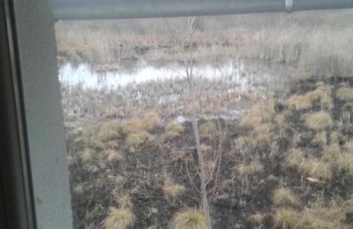 Vojvodina Casa | Salaš uz Bački kanal