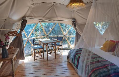 Figueira Otro | Salema Eco Camp - Sustainable Camping & Glamping