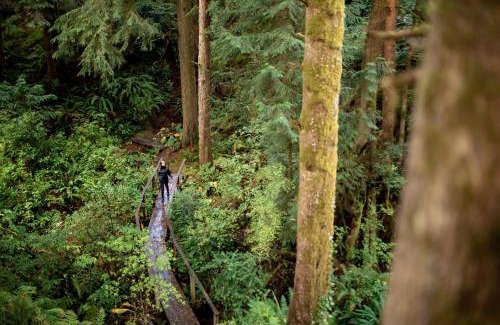 Gleneden Beach Complejo | Salishan Coastal Lodge