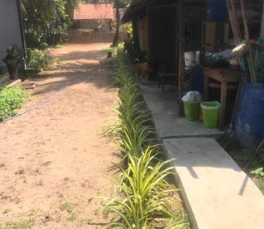 Kudawa Complejo | Salt Bay Kite and Dive Resort