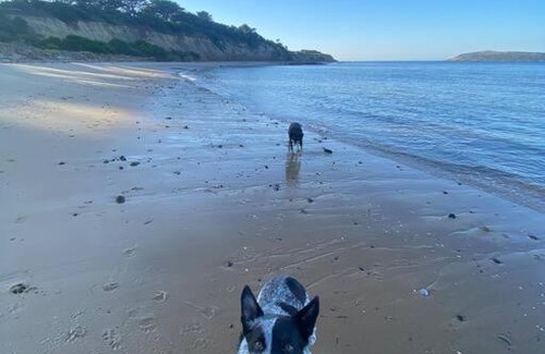 San Remo Casa | Salty Paws Dog Friendly Luxe Cottage