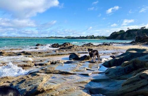 San Remo Casa | Salty Paws Dog Friendly Luxe Cottage