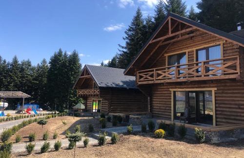 Staryava Complejo | Saltzbork