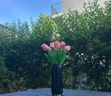 Nordstadt Apartamento | SALVIA II exklusiv & smart & Terrasse II Dein City-Apartment