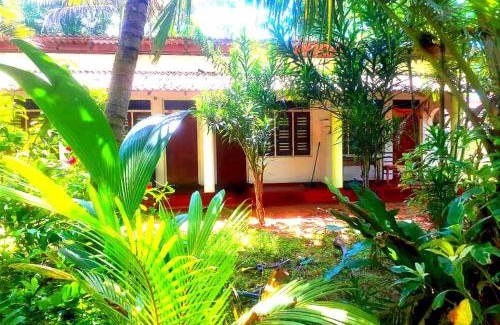 Thiranagama Casa | Saman Beach Hikkaduwa