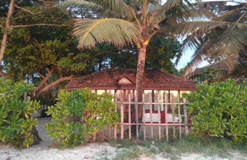 Alappuzha Cama Y Desayuno | SAMBODHI YOGA RETREAT