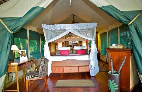 Samburu Otro | Samburu Intrepids Tented Camp