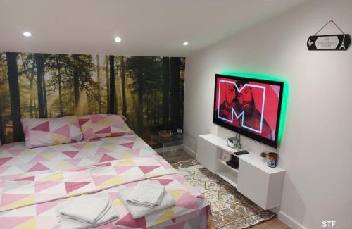 Stari Banovci Apartamento | SAMITEST