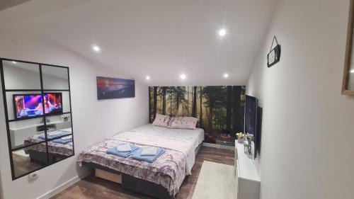 Stari Banovci Apartamento | SAMITEST