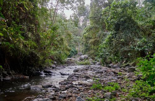 Arusha Cabina | Samora River Lodge