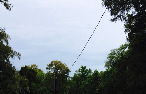 Needville Cabina | San Bernard River Cabin