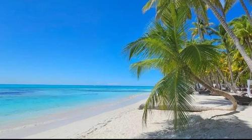 Carti Tupile Cabina | San Blas y Guna Yala Tours