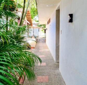 Leticia Casa | San José HOUSE