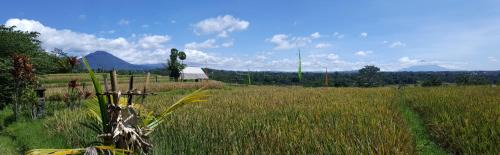 Penebel Otro | Sang Giri Mountain Tent Resort