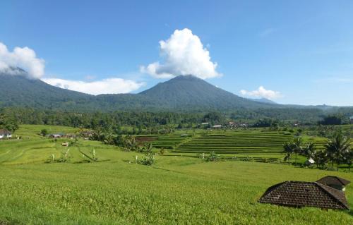 Penebel Otro | Sang Giri Mountain Tent Resort