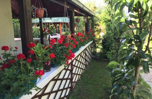 Kovilj Casa | Santa Maria Apartment