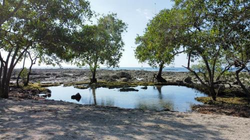 Manzanillo Casa | Santa Teresa Manzanillo Walk to Beach, New Home, Center of Tranquil Town