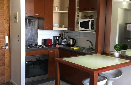Bellas Artes Condominio | Santiago Town Suites
